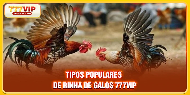 Rinha De Galos 777vip Todos Os Dias Com Ótimas Chances 4 Tipos populares de Rinha de galos 777VIP